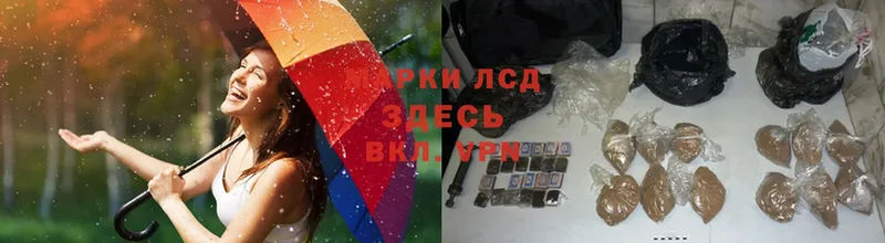 LSD-25 экстази кислота  Алексеевка 